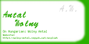 antal wolny business card